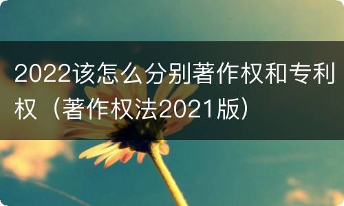 2022该怎么分别著作权和专利权（著作权法2021版）