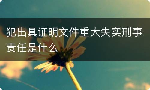 犯出具证明文件重大失实刑事责任是什么