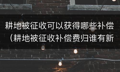 耕地被征收可以获得哪些补偿（耕地被征收补偿费归谁有新政策吗）