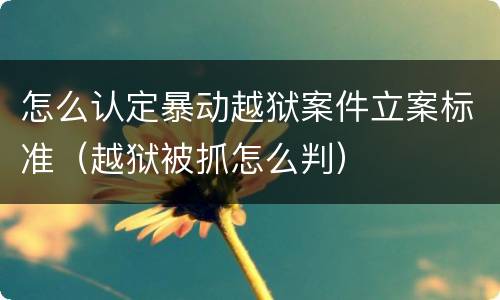 怎么认定暴动越狱案件立案标准（越狱被抓怎么判）