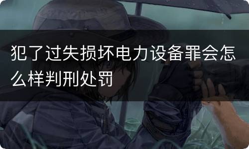 犯了过失损坏电力设备罪会怎么样判刑处罚