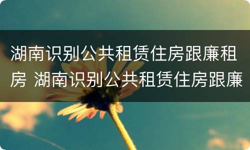 湖南识别公共租赁住房跟廉租房 湖南识别公共租赁住房跟廉租房的区别
