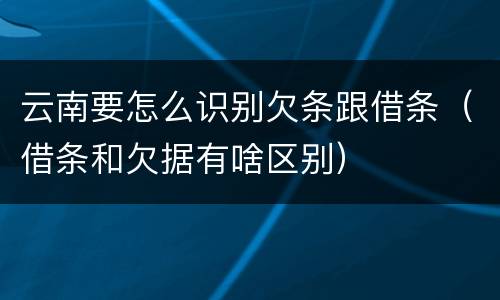 云南要怎么识别欠条跟借条（借条和欠据有啥区别）
