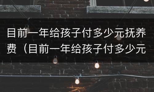 目前一年给孩子付多少元抚养费（目前一年给孩子付多少元抚养费合适）