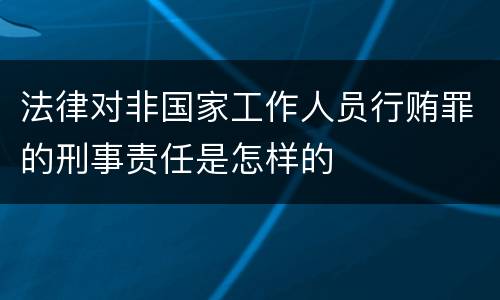 法律对非国家工作人员行贿罪的刑事责任是怎样的