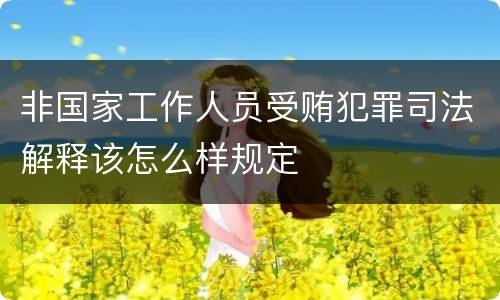 非国家工作人员受贿犯罪司法解释该怎么样规定