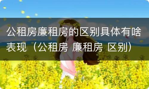 公租房廉租房的区别具体有啥表现（公租房 廉租房 区别）
