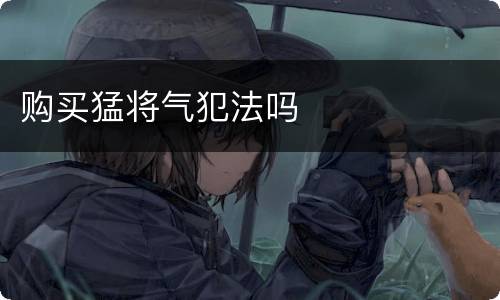 购买猛将气犯法吗