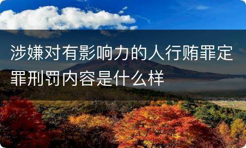 涉嫌对有影响力的人行贿罪定罪刑罚内容是什么样