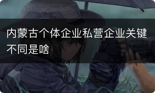内蒙古个体企业私营企业关键不同是啥