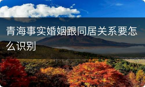 青海事实婚姻跟同居关系要怎么识别