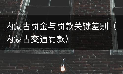内蒙古罚金与罚款关键差别（内蒙古交通罚款）