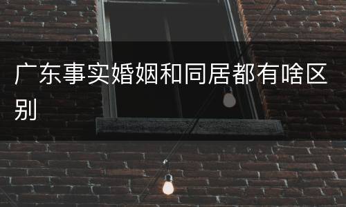 广东事实婚姻和同居都有啥区别