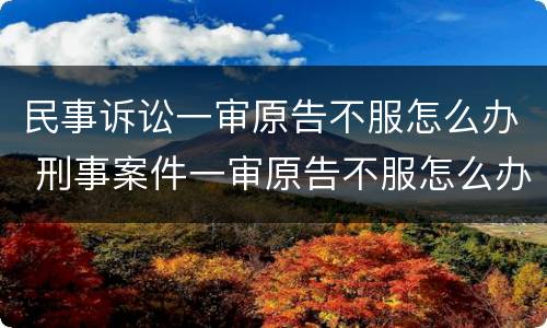 民事诉讼一审原告不服怎么办 刑事案件一审原告不服怎么办