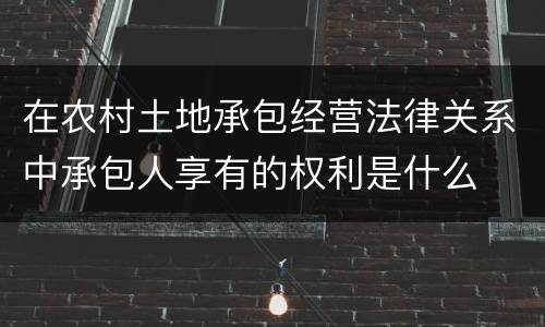 在农村土地承包经营法律关系中承包人享有的权利是什么