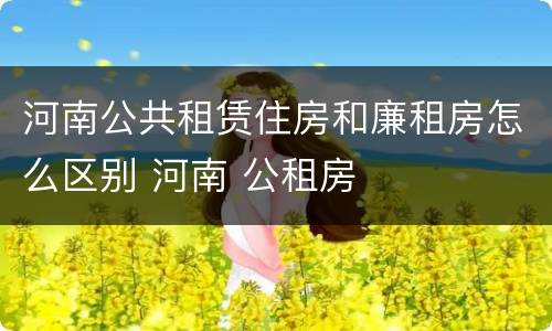 河南公共租赁住房和廉租房怎么区别 河南 公租房