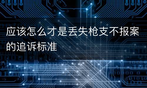 应该怎么才是丢失枪支不报案的追诉标准