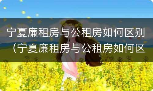宁夏廉租房与公租房如何区别（宁夏廉租房与公租房如何区别图片）