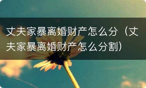丈夫家暴离婚财产怎么分（丈夫家暴离婚财产怎么分割）