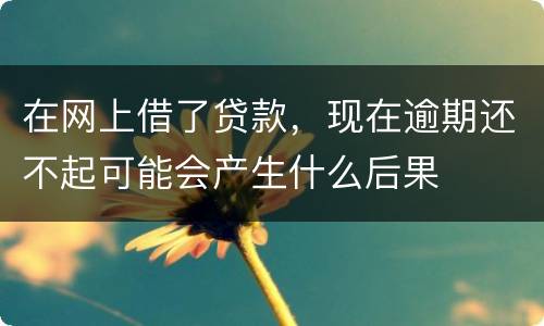 在网上借了贷款，现在逾期还不起可能会产生什么后果