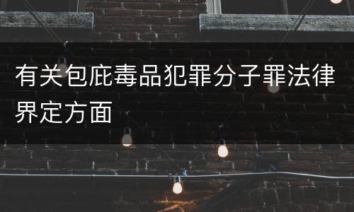 有关包庇毒品犯罪分子罪法律界定方面