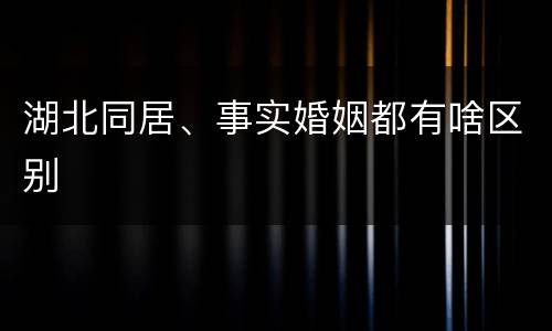 湖北同居、事实婚姻都有啥区别