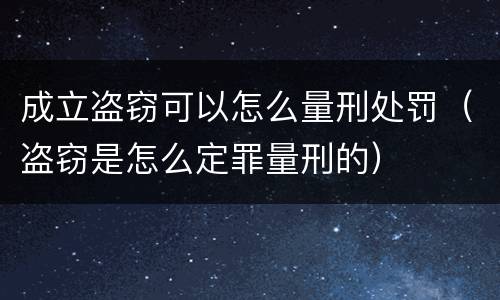 成立盗窃可以怎么量刑处罚（盗窃是怎么定罪量刑的）