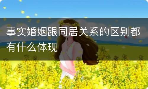 事实婚姻跟同居关系的区别都有什么体现