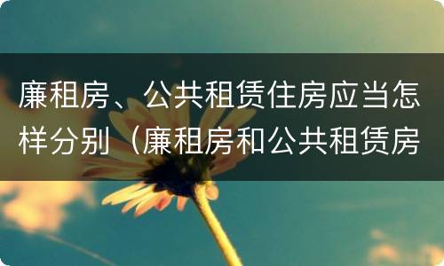 廉租房、公共租赁住房应当怎样分别（廉租房和公共租赁房的区别）