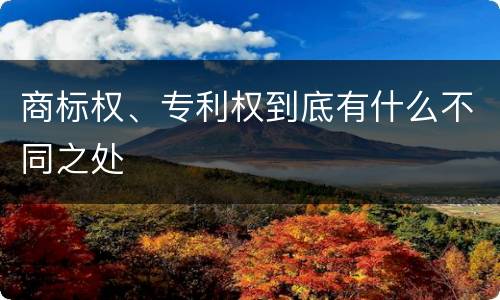 商标权、专利权到底有什么不同之处