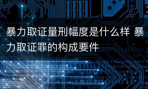 暴力取证量刑幅度是什么样 暴力取证罪的构成要件