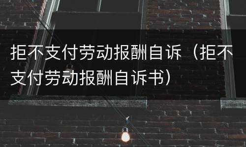 拒不支付劳动报酬自诉（拒不支付劳动报酬自诉书）