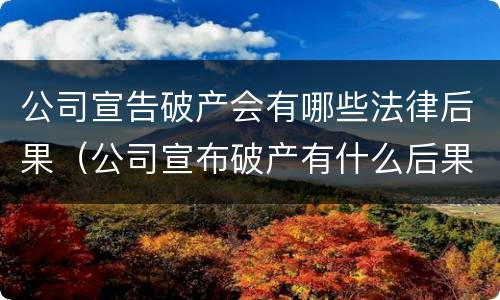 公司宣告破产会有哪些法律后果（公司宣布破产有什么后果）