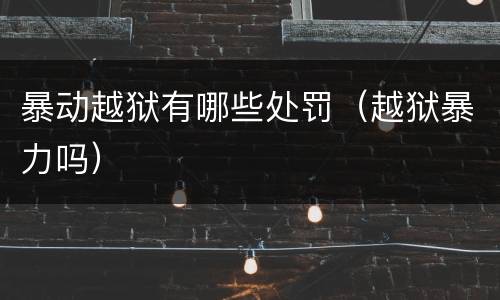 暴动越狱有哪些处罚（越狱暴力吗）