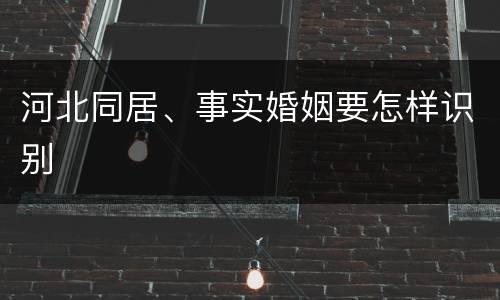 河北同居、事实婚姻要怎样识别