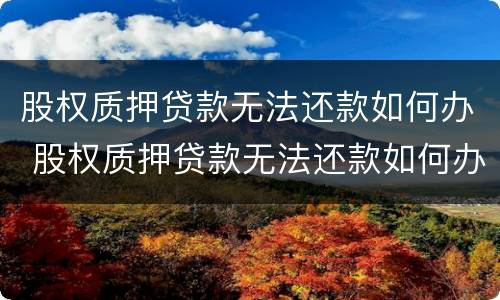 股权质押贷款无法还款如何办 股权质押贷款无法还款如何办