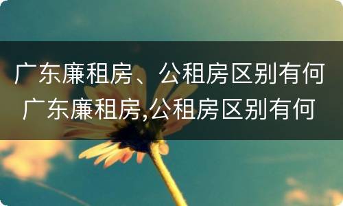 广东廉租房、公租房区别有何 广东廉租房,公租房区别有何标准