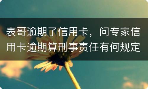 表哥逾期了信用卡，问专家信用卡逾期算刑事责任有何规定