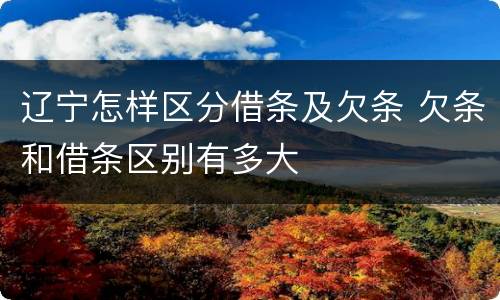 辽宁怎样区分借条及欠条 欠条和借条区别有多大