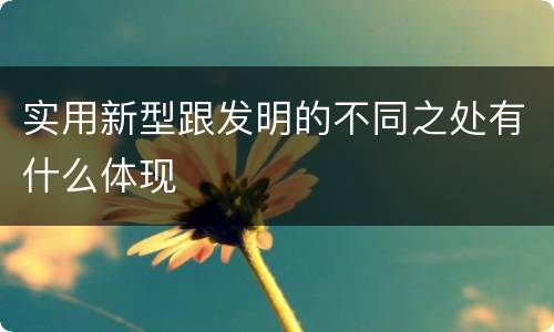 实用新型跟发明的不同之处有什么体现