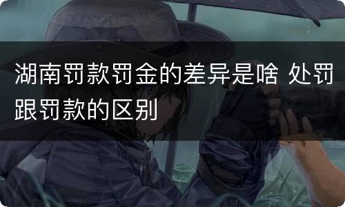 湖南罚款罚金的差异是啥 处罚跟罚款的区别