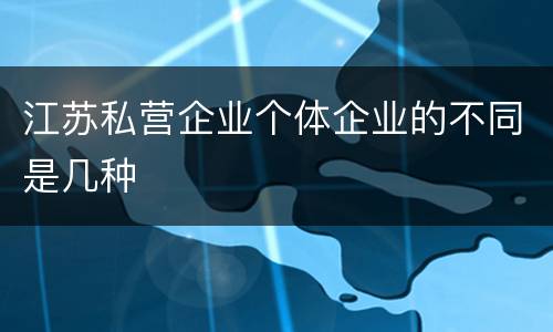 江苏私营企业个体企业的不同是几种