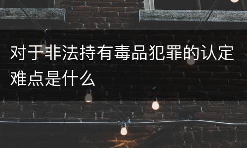 对于非法持有毒品犯罪的认定难点是什么