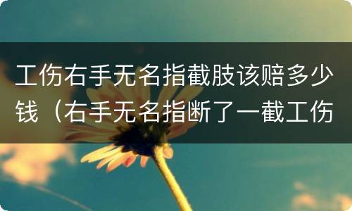 工伤右手无名指截肢该赔多少钱（右手无名指断了一截工伤能赔多少钱）