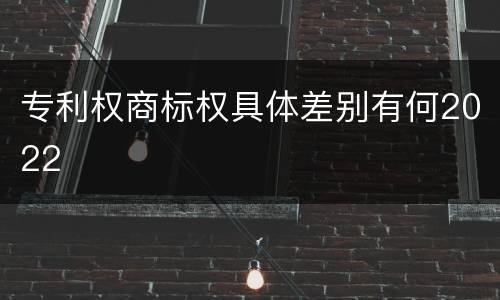 专利权商标权具体差别有何2022
