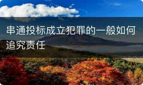 串通投标成立犯罪的一般如何追究责任