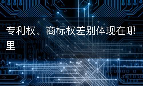 专利权、商标权差别体现在哪里