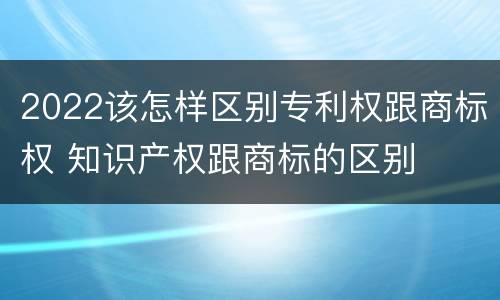2022该怎样区别专利权跟商标权 知识产权跟商标的区别