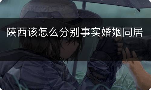 陕西该怎么分别事实婚姻同居