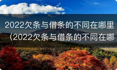 2022欠条与借条的不同在哪里（2022欠条与借条的不同在哪里可以查到）